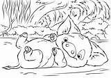 Moana Coloring Pages Pig Printable K5worksheets Disney Pua sketch template