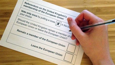 trotz brexit referendum warum wir volksabstimmungen brauchen cicero