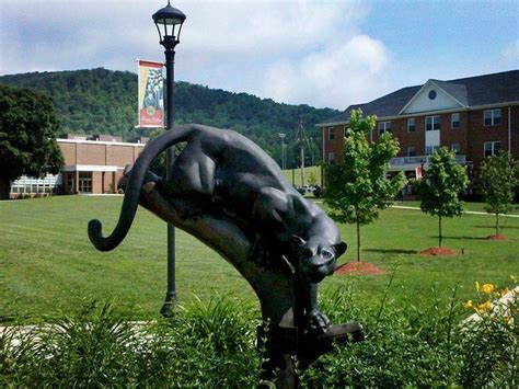 17 best images about ferrum college on pinterest