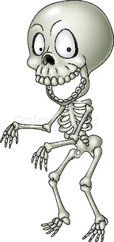 vector illustration of cartoon funny human skeleton
