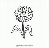 Zinnia Flower Clipart Outline Drawing Coloring Flowers Popular Getdrawings Paintingvalley Clipground Coloringhome sketch template