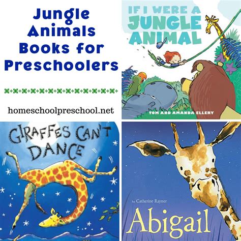 jungle animal books  preschoolers