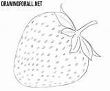 Strawberry Drawing Tutorial Draw Drawingforall Step Leaf sketch template