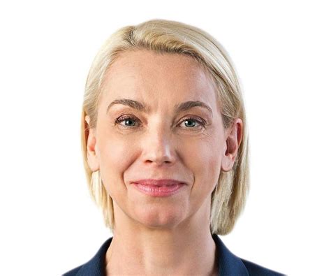 profile angelika mlinar  austrian mep  slovenian minister