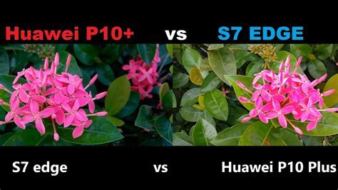 Huawei P10 Plus vs S7 EDGE CAMERA TEST   YouTube
