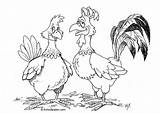 Para Gallina Gallo Colorear Coloring Hen Henne Rooster Hahn Dibujo Hane Malvorlage Und Og Fargelegge Høne Bilde Pages Dibujos Ausmalbilder sketch template