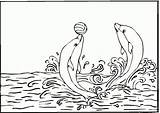 Delfines Jugando Pelota sketch template