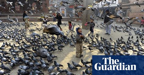 Eyewitness Kathmandu World News The Guardian
