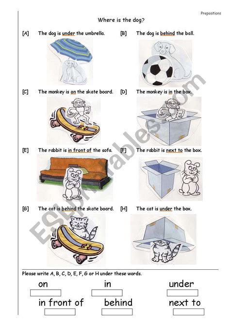english worksheets prepositions  place     front