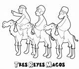 Magos Dibujo Camello Navideños sketch template