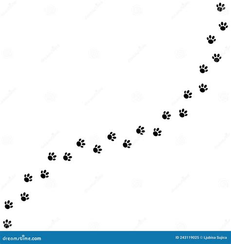 paw print trail isolated  white background stock vector