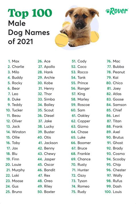 top  male dog names
