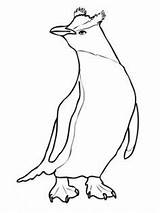 Penguin Swim Snares sketch template