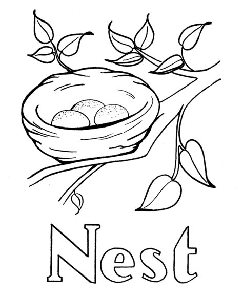 coloring pages bird nest