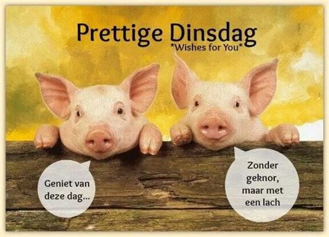 dinsdag dagen vd week pinterest