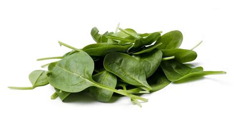 kelebihan sayur bayam spinach manfaatnya  kesihatan