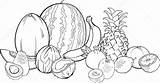 Fruits Coloring Tropical Illustration Stock Vector Book Cartoon Food sketch template