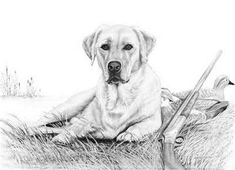 labrador dog coloring pages   goodimgco