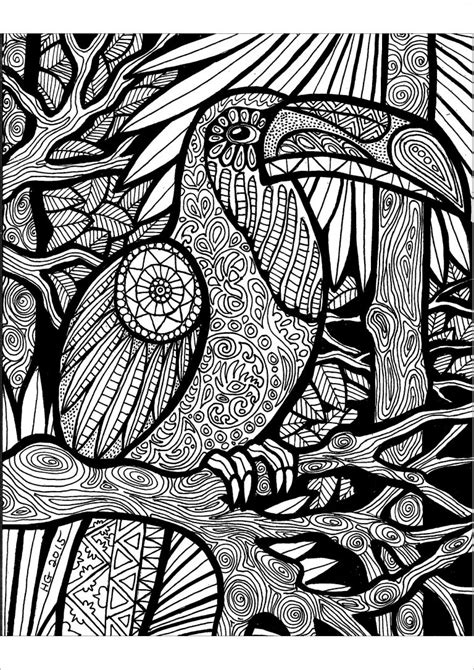 zentangle toucan art adult coloring pages coloringbay