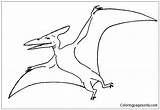 Pteranodon Pages Coloring Spread His Printable Wing Online Dinosaurs Pteranodons Two Color Print Coloringpagesonly sketch template