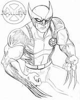 Avengers Wolverine sketch template