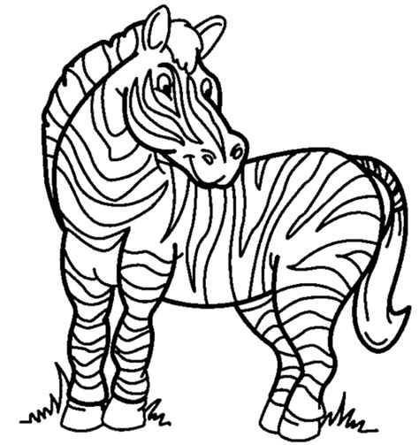 zebra coloring page coloring page book