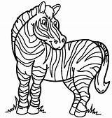 Zebra Coloring Pages Cartoon Printable Zebras Book Drawing Color Clipart Kids Animals Cliparts Line Colouring Coloringpagebook Animal Happy Use Print sketch template