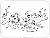 Coloring Dalmatians Puddle Playing Puppies Pages Disneyclips Printable Dalmatian Cruella Water sketch template