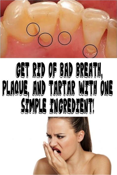get rid of bad breath plaque and tartar with one simple ingredient