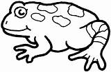 Frog Coloring Pages Toad Colouring Clipart Printable Kids Frogs Cliparts Tree Spots Library Amphibian Animal Dot Green Clipartmag sketch template