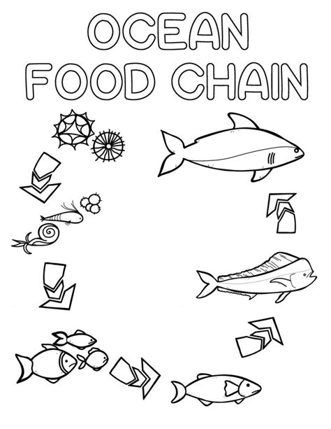 food chain coloring pages  pics  ocean food web coloring pages
