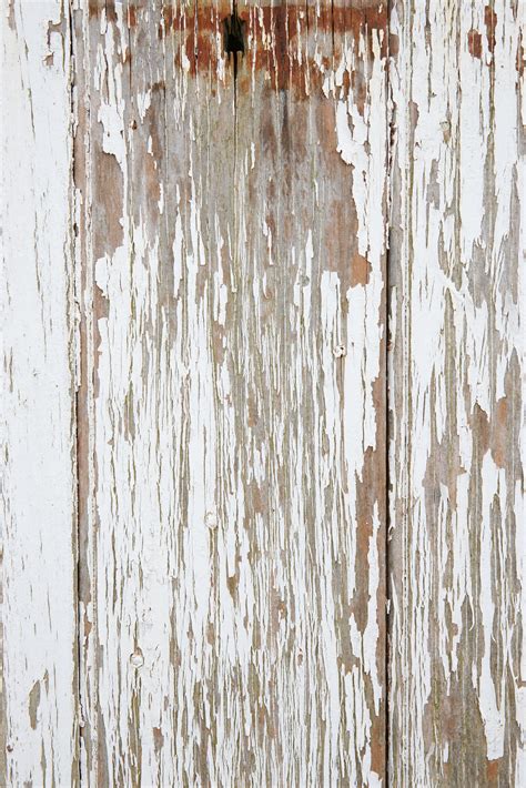 rough painted white wood textures