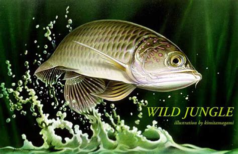 wildfish manhlongarowana flickr