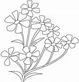 Coloring Flower Small Pages Periwinkle Breath Drawing Jasmine Plant Opposites Babys Parts Flowers Cosmos Spinach Color Printable Drawings Getcolorings Plants sketch template