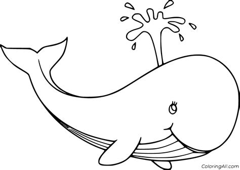 dive  skittish blue whale coloring page locking   peer