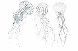 Jellyfish Coloring Spongebob Getdrawings Pages sketch template