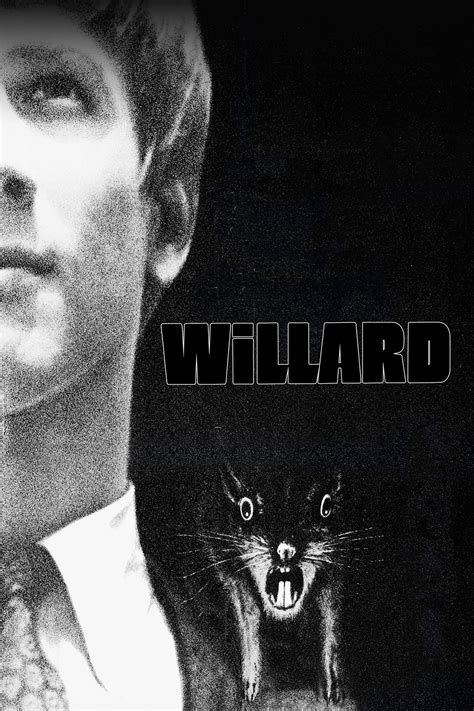 willard film  willard  lifecoach