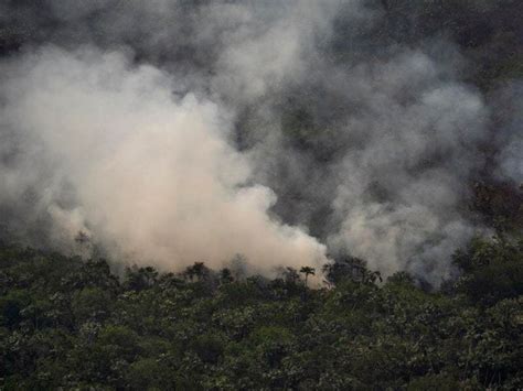 brazil bans  burning   days  curb amazon fires shropshire star