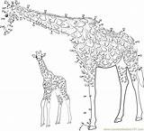 Giraffe Dots Printable Connectthedots101 sketch template