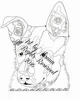 Dog Cattle Coloring Australian Instant sketch template