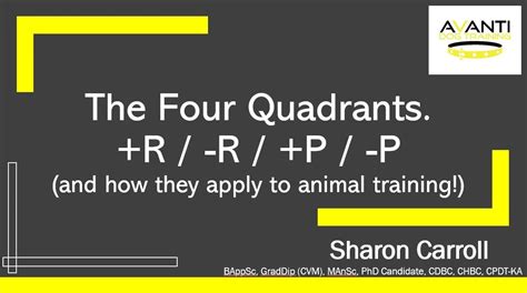 quadrants  operant conditioning   p p