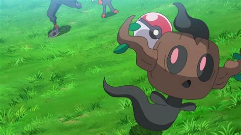 Phantump Pokémon How To Catch Moves Pokedex And More