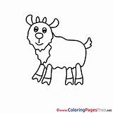 Sheet Sheep Colouring Coloring Title sketch template