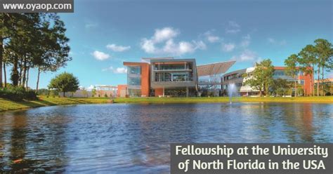 fellowship   university  north florida oya opportunities oya