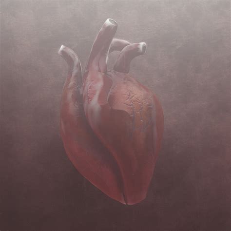 heart beat album cover art design coverartworks