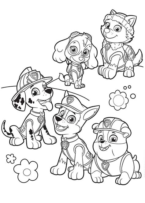 everest   paw patrol coloring pages