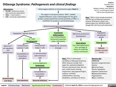digeorge syndrome pathogenesis  clinical findings calgary guide