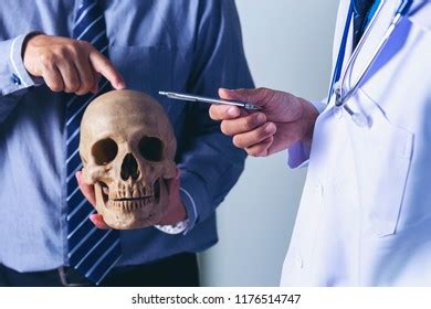 doctor holding human skull  hands stock photo  shutterstock