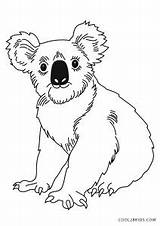 Koala Coloring Pages Kids Printable sketch template