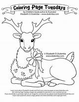 Reindeer Coloring Tuesday Dulemba Santa Ready Practicing Carry Nearly Rested Sleigh Flying Well Re Been They Their sketch template